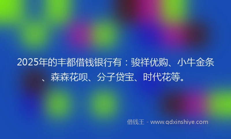 2025年的丰都借钱银行有：骏祥优购、小牛金条、森森花呗、分子贷宝、时代花等。