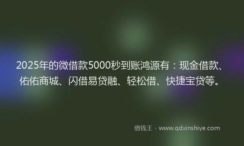 2025年的微借款5000秒到账鸿源有：现金借款、佑佑商城、闪借易贷融、轻松借、快捷宝贷等。