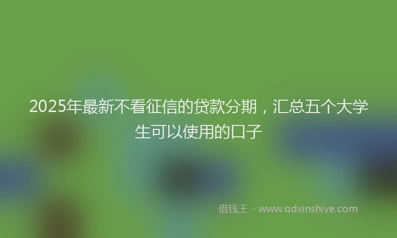 2025年最新不看征信的贷款分期，汇总五个大学生可以使用的口子
