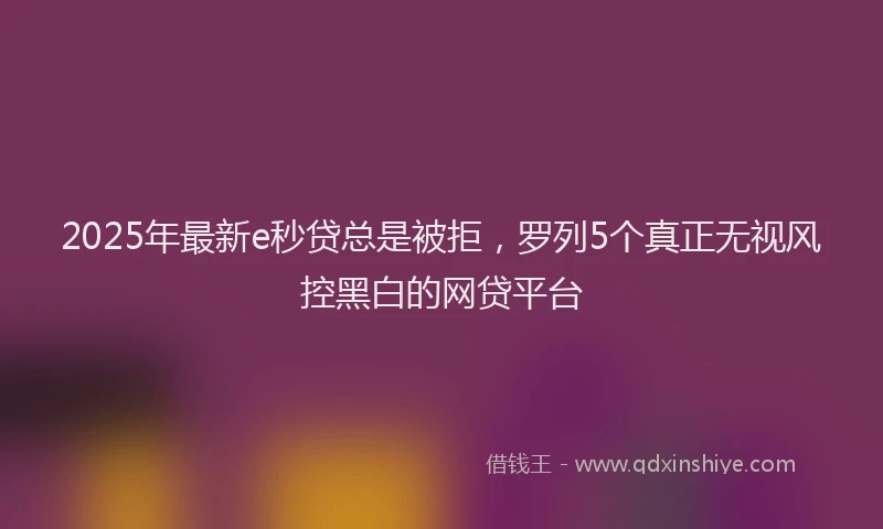 2025年最新e秒贷总是被拒，罗列5个真正无视风控黑白的网贷平台