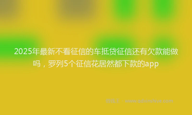 2025年最新不看征信的车抵贷征信还有欠款能做吗，罗列5个征信花居然都下款的app