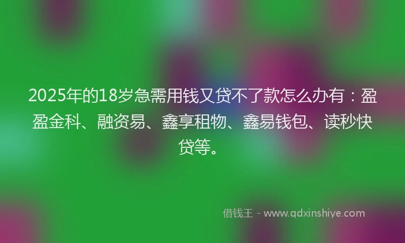 2025年的18岁急需用钱又贷不了款怎么办有：盈盈金科、融资易、鑫享租物、鑫易钱包、读秒快贷等。
