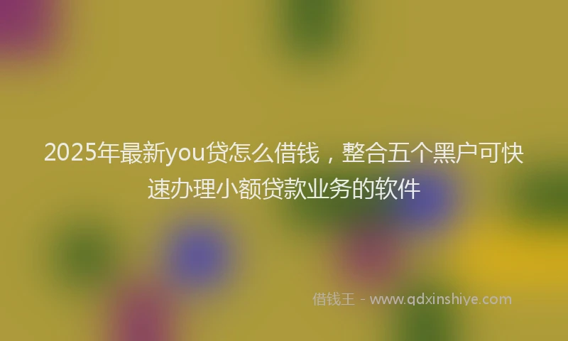 2025年最新you贷怎么借钱，整合五个黑户可快速办理小额贷款业务的软件