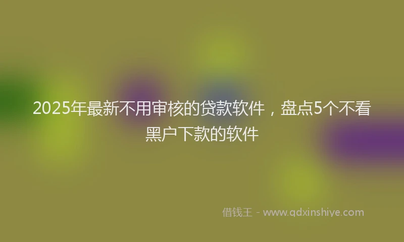 2025年最新不用审核的贷款软件，盘点5个不看黑户下款的软件