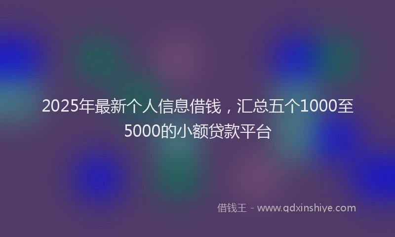 2025年最新个人信息借钱，汇总五个1000至5000的小额贷款平台