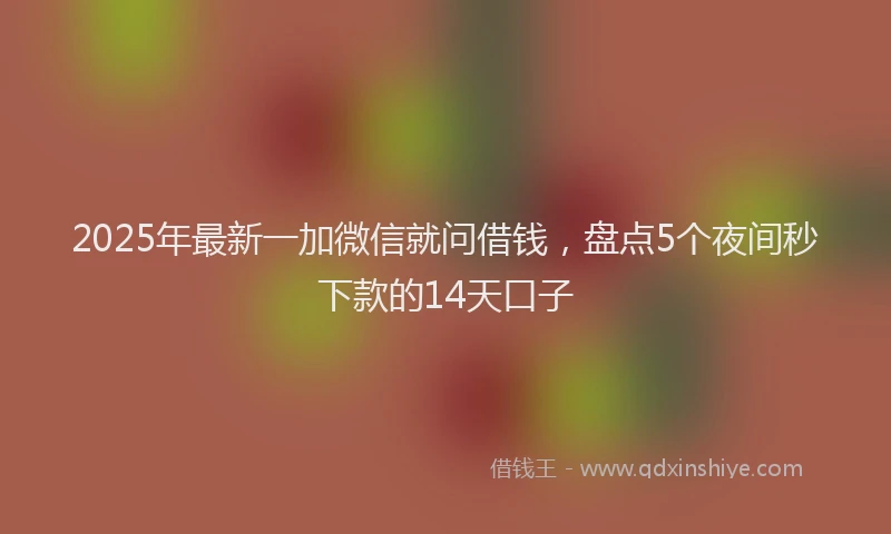 2025年最新一加微信就问借钱，盘点5个夜间秒下款的14天口子