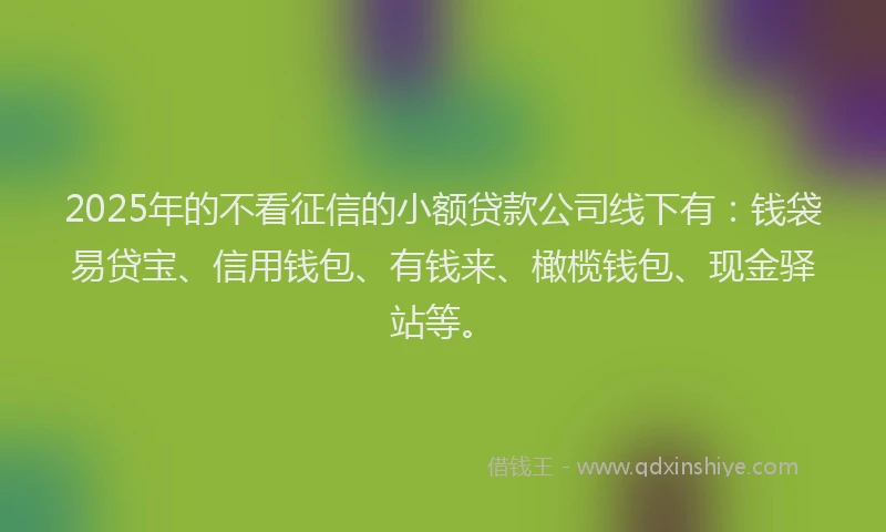2025年的不看征信的小额贷款公司线下有：钱袋易贷宝、信用钱包、有钱来、橄榄钱包、现金驿站等。