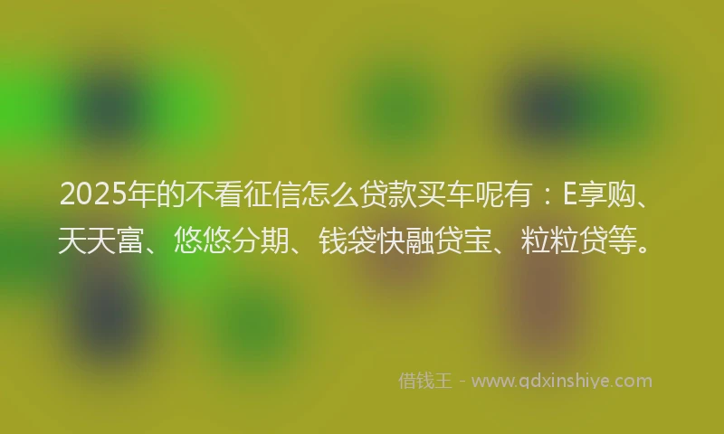 2025年的不看征信怎么贷款买车呢有：E享购、天天富、悠悠分期、钱袋快融贷宝、粒粒贷等。