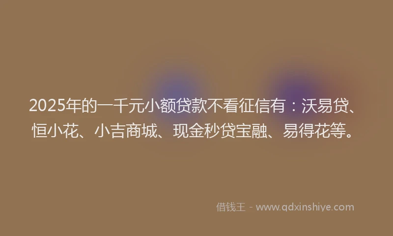 2025年的一千元小额贷款不看征信有：沃易贷、恒小花、小吉商城、现金秒贷宝融、易得花等。