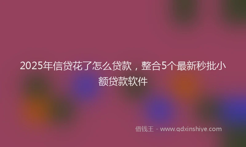 2025年信贷花了怎么贷款，整合5个最新秒批小额贷款软件