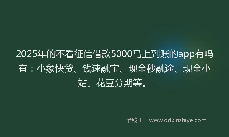 2025年的不看征信借款5000马上到账的app有吗有：小象快贷、钱速融宝、现金秒融途、现金小站、花豆分期等。