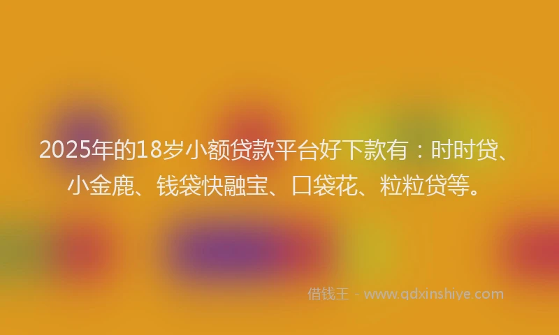 2025年的18岁小额贷款平台好下款有：时时贷、小金鹿、钱袋快融宝、口袋花、粒粒贷等。