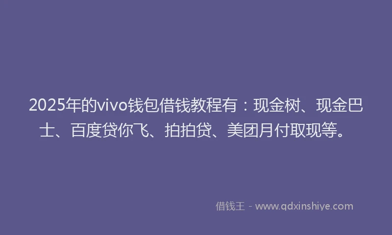 2025年的vivo钱包借钱教程有：现金树、现金巴士、百度贷你飞、拍拍贷、美团月付取现等。