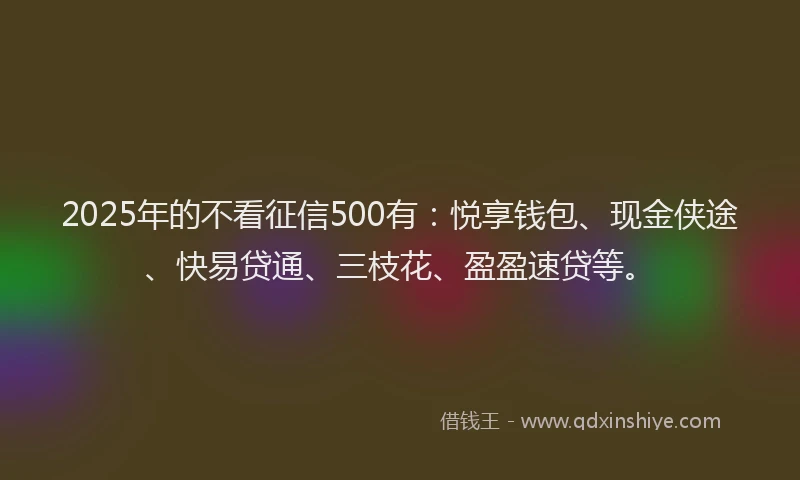 2025年的不看征信500有：悦享钱包、现金侠途、快易贷通、三枝花、盈盈速贷等。