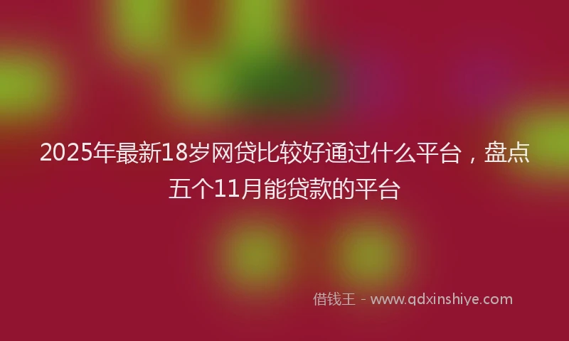 2025年最新18岁网贷比较好通过什么平台，盘点五个11月能贷款的平台