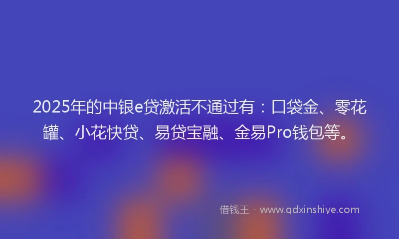 2025年的中银e贷激活不通过有：口袋金、零花罐、小花快贷、易贷宝融、金易Pro钱包等。