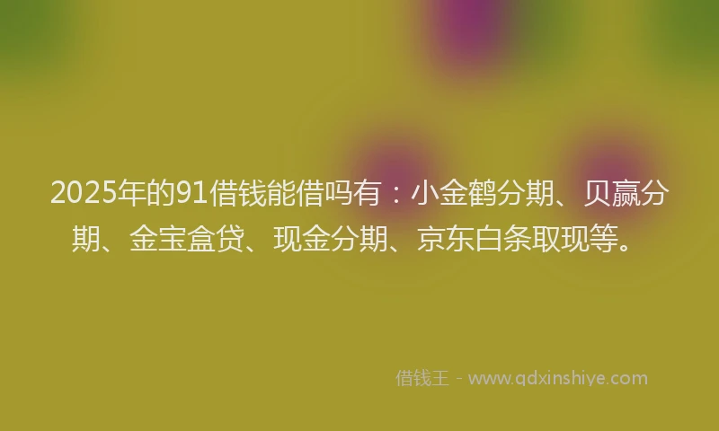 2025年的91借钱能借吗有：小金鹤分期、贝赢分期、金宝盒贷、现金分期、京东白条取现等。