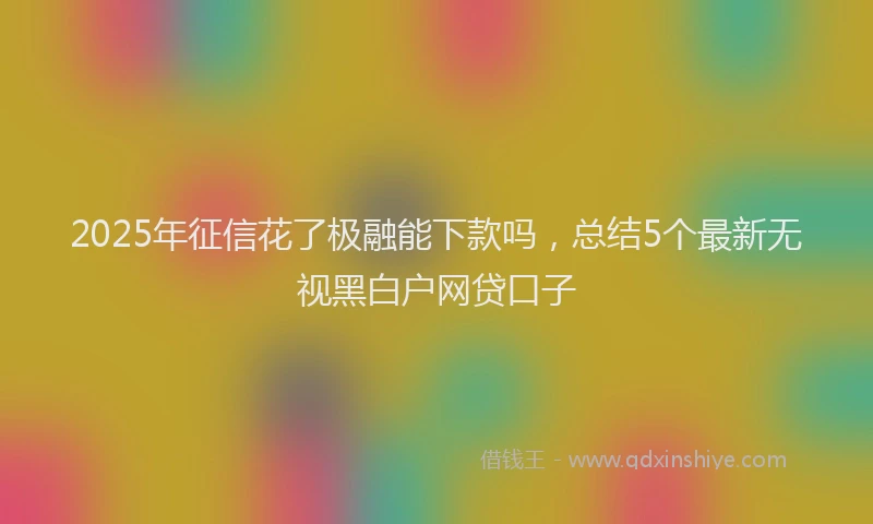 2025年征信花了极融能下款吗，总结5个最新无视黑白户网贷口子