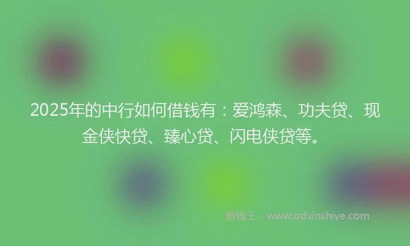 2025年的中行如何借钱有：爱鸿森、功夫贷、现金侠快贷、臻心贷、闪电侠贷等。