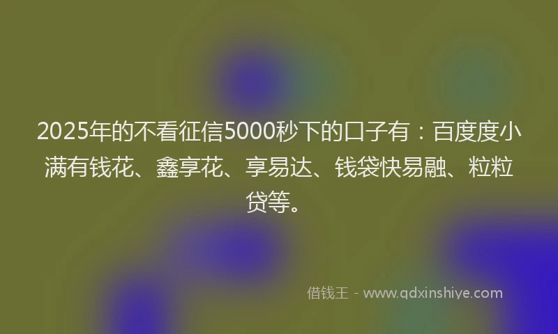 2025年的不看征信5000秒下的口子有：百度度小满有钱花、鑫享花、享易达、钱袋快易融、粒粒贷等。