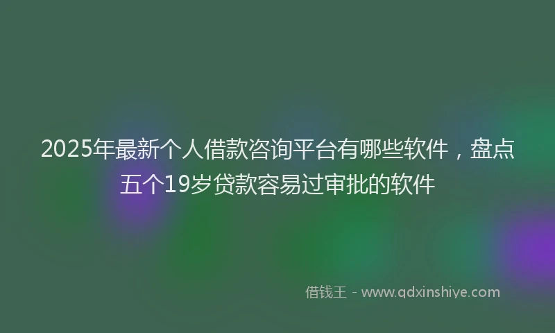 2025年最新个人借款咨询平台有哪些软件，盘点五个19岁贷款容易过审批的软件