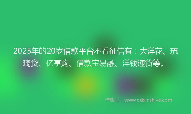2025年的20岁借款平台不看征信有：大洋花、琉璃贷、亿享购、借款宝易融、洋钱速贷等。