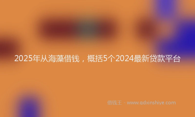 2025年从海藻借钱，概括5个2024最新贷款平台