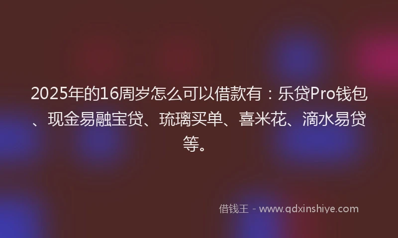 2025年的16周岁怎么可以借款有：乐贷Pro钱包、现金易融宝贷、琉璃买单、喜米花、滴水易贷等。