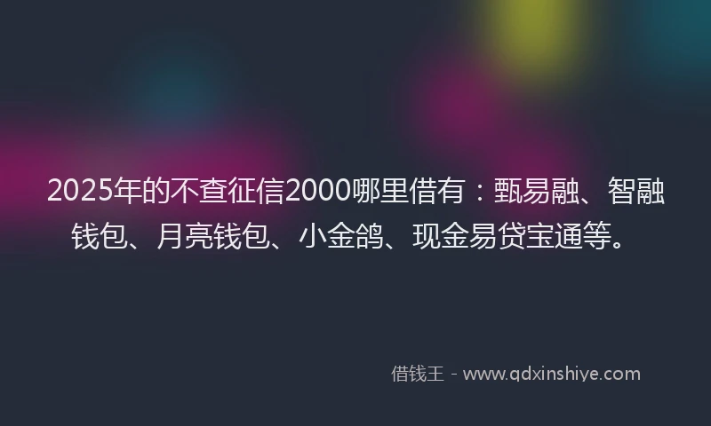 2025年的不查征信2000哪里借有：甄易融、智融钱包、月亮钱包、小金鸽、现金易贷宝通等。