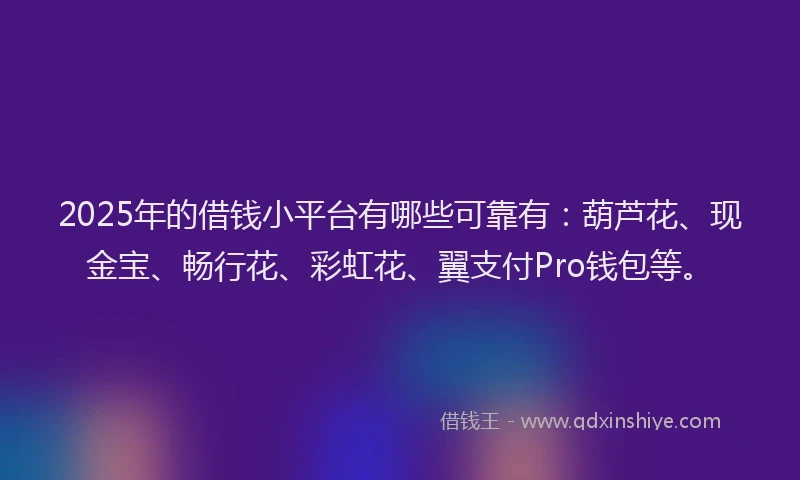 2025年的借钱小平台有哪些可靠有：葫芦花、现金宝、畅行花、彩虹花、翼支付Pro钱包等。