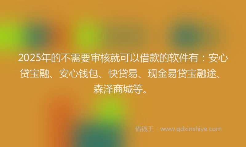 2025年的不需要审核就可以借款的软件有：安心贷宝融、安心钱包、快贷易、现金易贷宝融途、森泽商城等。