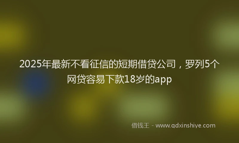 2025年最新不看征信的短期借贷公司，罗列5个网贷容易下款18岁的app