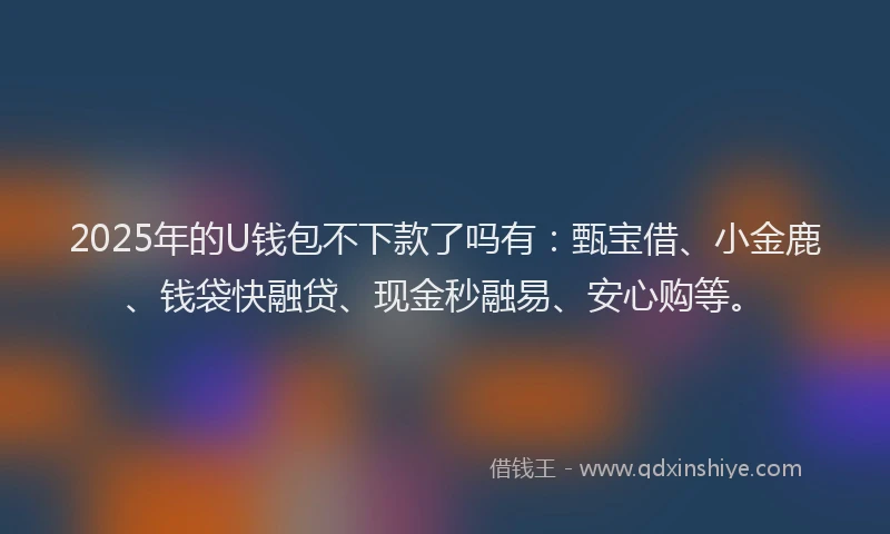 2025年的U钱包不下款了吗有：甄宝借、小金鹿、钱袋快融贷、现金秒融易、安心购等。