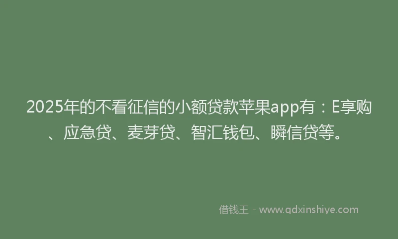 2025年的不看征信的小额贷款苹果app有：E享购、应急贷、麦芽贷、智汇钱包、瞬信贷等。