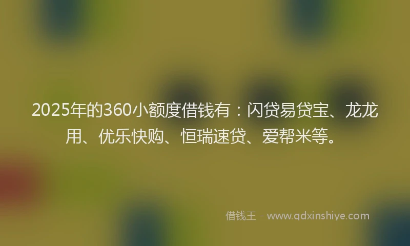 2025年的360小额度借钱有：闪贷易贷宝、龙龙用、优乐快购、恒瑞速贷、爱帮米等。