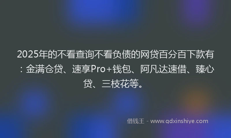 2025年的不看查询不看负债的网贷百分百下款有：金满仓贷、速享Pro+钱包、阿凡达速借、臻心贷、三枝花等。