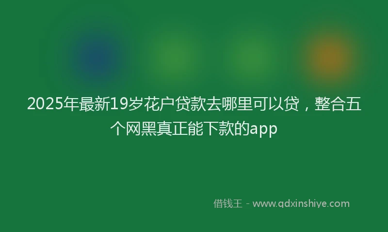2025年最新19岁花户贷款去哪里可以贷，整合五个网黑真正能下款的app