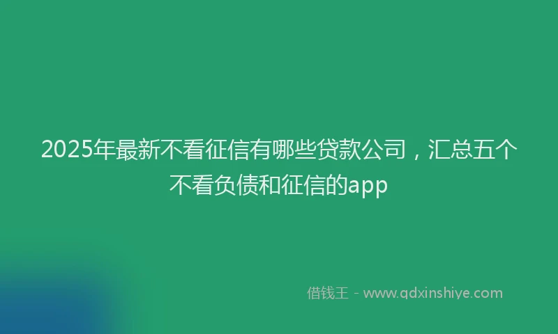 2025年最新不看征信有哪些贷款公司，汇总五个不看负债和征信的app