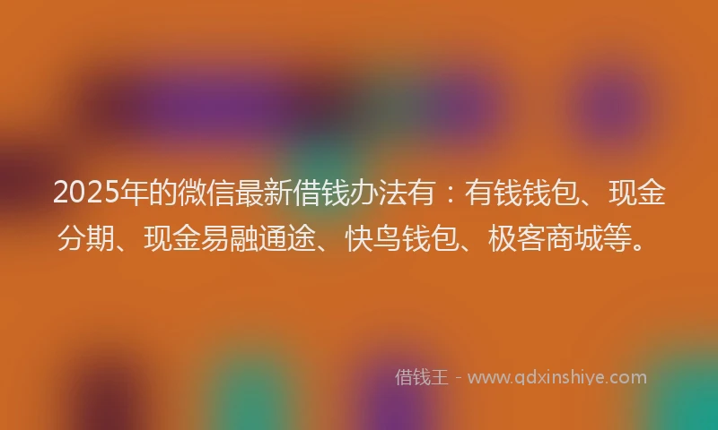 2025年的微信最新借钱办法有：有钱钱包、现金分期、现金易融通途、快鸟钱包、极客商城等。