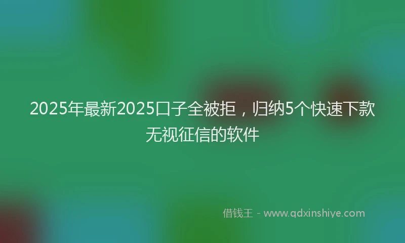 2025年最新2025口子全被拒，归纳5个快速下款无视征信的软件