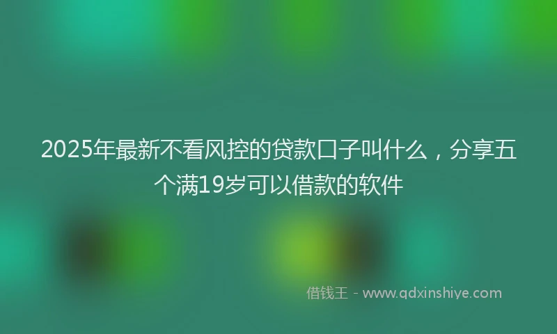 2025年最新不看风控的贷款口子叫什么，分享五个满19岁可以借款的软件