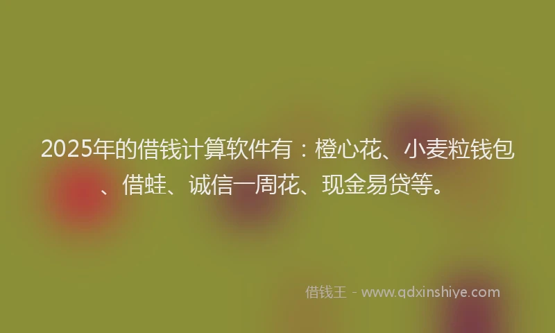2025年的借钱计算软件有：橙心花、小麦粒钱包、借蛙、诚信一周花、现金易贷等。