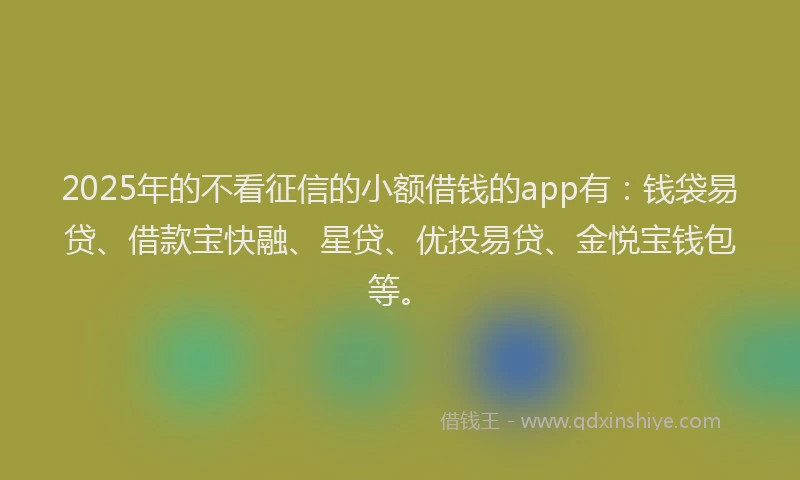 2025年的不看征信的小额借钱的app有：钱袋易贷、借款宝快融、星贷、优投易贷、金悦宝钱包等。