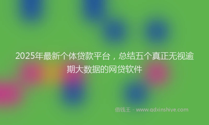 2025年最新个体贷款平台，总结五个真正无视逾期大数据的网贷软件