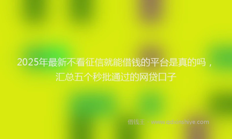 2025年最新不看征信就能借钱的平台是真的吗，汇总五个秒批通过的网贷口子