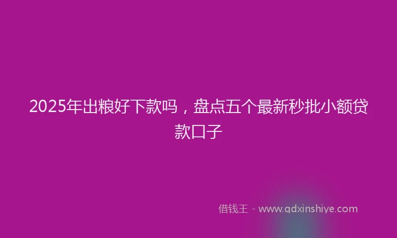 2025年出粮好下款吗，盘点五个最新秒批小额贷款口子