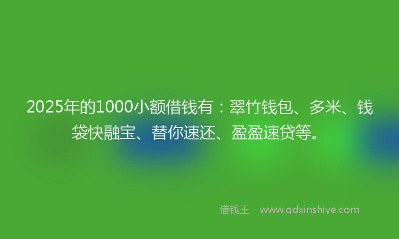 2025年的1000小额借钱有：翠竹钱包、多米、钱袋快融宝、替你速还、盈盈速贷等。
