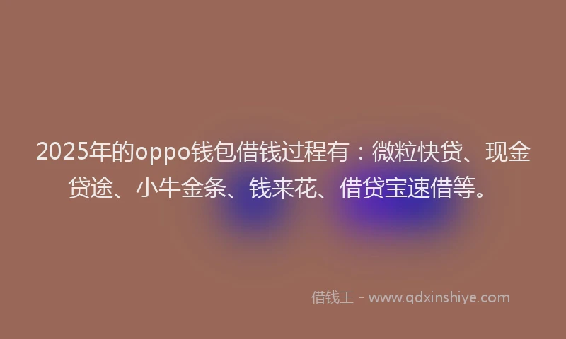 2025年的oppo钱包借钱过程有：微粒快贷、现金贷途、小牛金条、钱来花、借贷宝速借等。