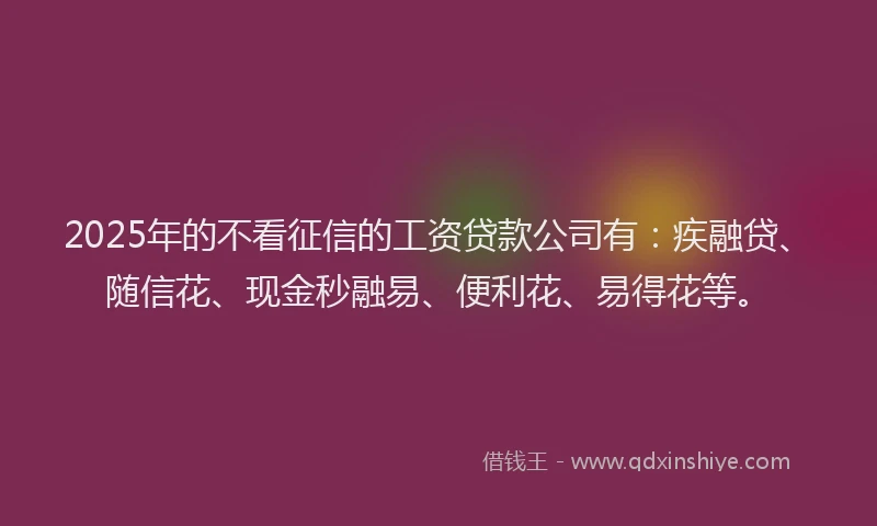 2025年的不看征信的工资贷款公司有：疾融贷、随信花、现金秒融易、便利花、易得花等。