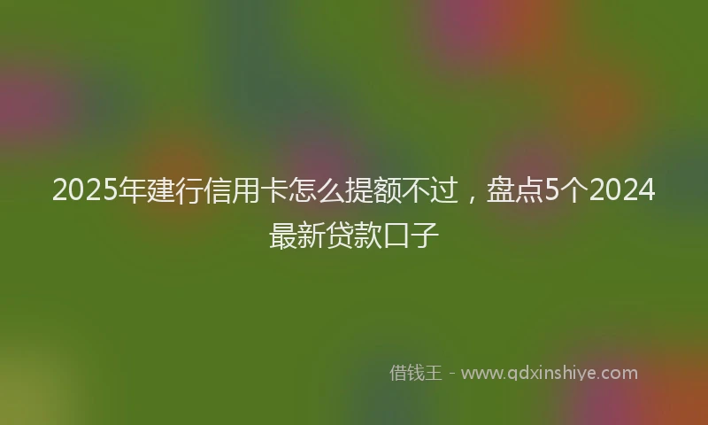 2025年建行信用卡怎么提额不过，盘点5个2024最新贷款口子